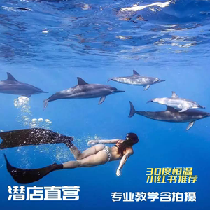 自由潜水考证自由潜二星课程上海杭州成都重庆三亚广州水下拍摄