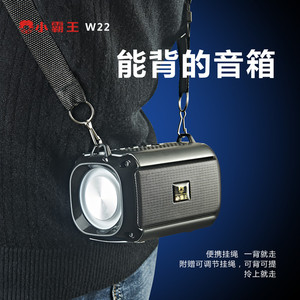 小霸王W22无线蓝牙音箱家用户外便携式高音质超重低音音响带彩灯