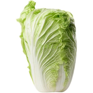 秋季玲珑黄062中小型黄芯娃娃菜白菜种籽韩国进口早熟蔬菜种子