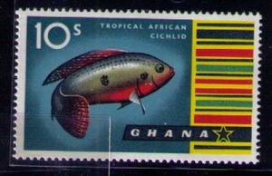 加纳-1959年珠宝鱼 高值 全新原胶无贴全品1枚特价248