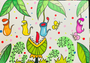 猪笼草手抄报儿童画小学生美丽乡村绿色美景绘画线稿电子版植物