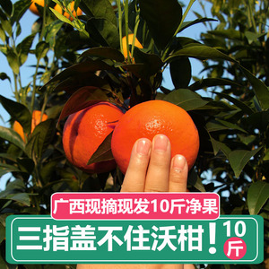 沃柑广西武鸣10斤新鲜现季水果橘子当季桔子一级正宗包邮礼盒大果