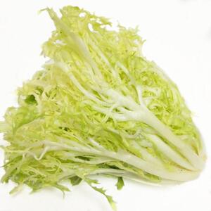 新鲜黄心九芽 黄苦菊 黄苦苣可沙拉凉拌即食绿色西餐健身食材500g