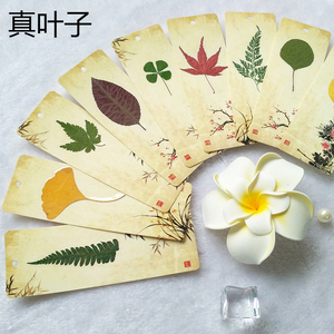 树叶植物标本塑封书签 中国风红枫叶四叶草古风创意礼品 学生奖品