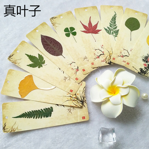 树叶书签塑封