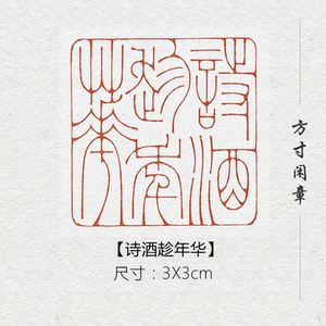 诗酒趁年华成品书画闲章篆刻印章定制姓名引首压角章书法国画国展