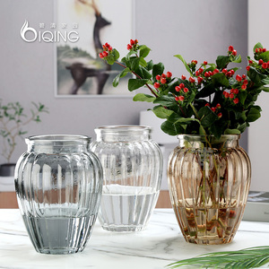 彩色透明胖肚子玻璃花瓶创意清新欧式桌面客厅插干花鲜花水竹家居