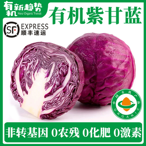 【有机紫甘蓝】新鲜蔬菜无农残紫包菜十字花科时蔬孕妇宝宝沙拉菜