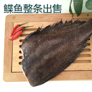 塔嘛鱼
