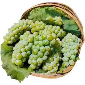 水晶葡萄新鲜水果云南