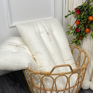 高端珍珠蛋白美颜枕头全棉助睡眠亲肤舒适护颈椎专用五星酒店枕芯