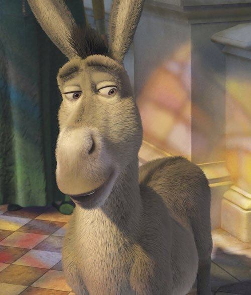 开封甜甜鲜花店全国速递:商丘洛阳信阳三门峡驻马店平顶山新乡