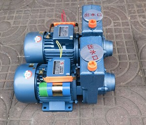 肇庆天成1.5ZDK-20自吸清水泵2ZDK-20自吸泵 增压泵 家用抽水泵