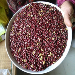 红小豆食用赤小红豆长粒红豆野外小赤豆农家500g新货满包邮