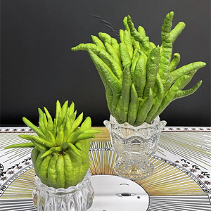 同城甄选国产鲜花速递绿色佛手柑清香柠檬香气鲜切花家庭用花1支