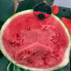 现货当季限量翡翠蒂西瓜2号西瓜约30斤4只装脆甜多汁海南麒麟西瓜