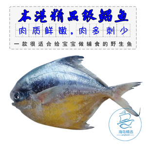 野生银鲳鱼新鲜大银白鲳平鱼镜鱼鲜活海鱼宝宝辅食东山岛海鲜水产