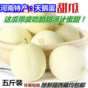 河南小甜瓜新鲜头茬天鹅蛋白甜瓜香瓜水果薄皮多汁带皮吃现摘包邮