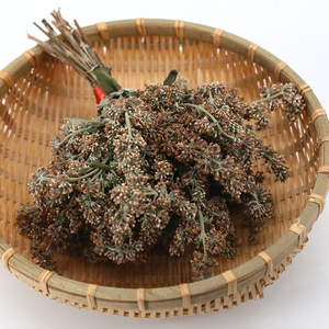 贵州黄饭花黄花饭黄香花黄花黄色米饭染料新鲜密蒙花五色糯米饭