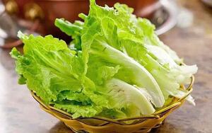 大利生菜 新鲜蔬菜 生菜 唐生菜 沙拉配菜 鲜嫩火锅下菜 1斤