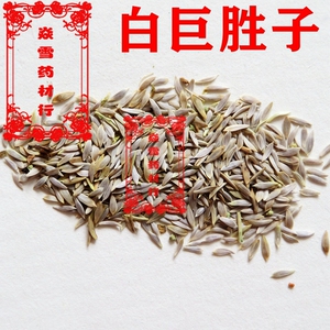 巨胜子