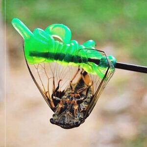 粘知了胶可伸缩捕蝉杆捉抓知了猴竿粘知了竿专业捕蝉工具捕蝉神器