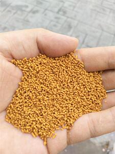 绣眼鸟食竹叶青饲料小白眼鸟粮专用防水便手工颗粒500g杭州小山东