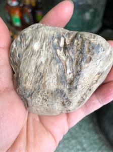 黑龙江天然大叶草花玉桫椤玉原石雕刻料摆件218克