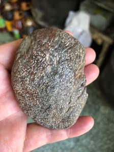 黑龙江天然明丝飘红草花玉桫椤树化石标本原石手把件116克