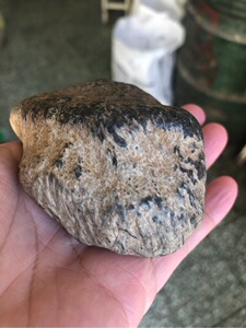 黑龙江天然草花玉桫椤玉原石雕刻料摆件247克