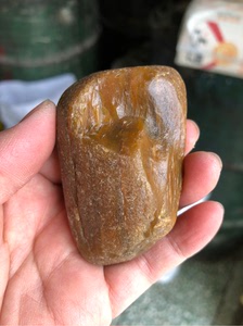 黑龙江天然水冲树化玉硅化木原石手把件雕刻料摆件121克
