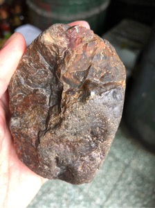 黑龙江天然彩色草花玉桫椤玉原石雕刻料摆件379克