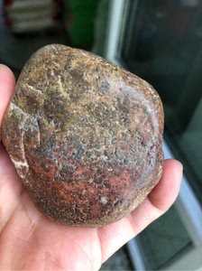 黑龙江天然红草花玉桫椤玉原石手把件雕刻料摆件264克