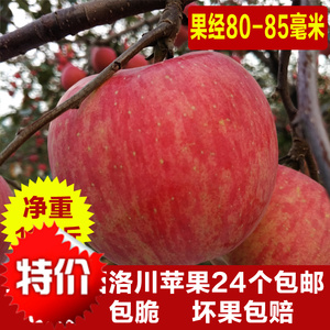 原产地直供陕西洛川红富士苹果水果80-85毫米24个装包邮新鲜直达