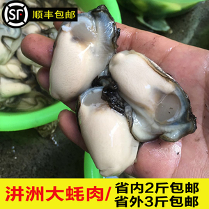 汫洲生蚝肉鲜活现剥去壳牡蛎肉海鲜水产烧烤新鲜海蛎子蛎蝗肉500g