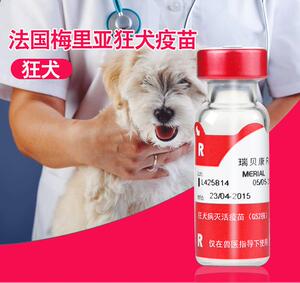 瑞贝康法国狂犬疫苗免疫梅里亚法苗预防幼犬成犬幼猫成猫