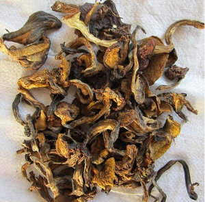 燕山珍奇 野生松蘑菇干 松菇 松蛾子 粘团子 去根干货