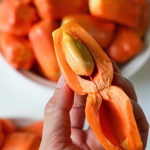 正宗进口红宝石印尼红肉菠萝蜜一整个新鲜水果包邮非泰国