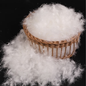 散装羽绒大朵鸭绒95白鹅绒清洁无菌90白鸭绒羽绒服被枕填充物原料