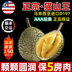 正宗猫山王榴莲D197保5房马来西亚进口液氮冷冻新鲜水果顺丰包邮