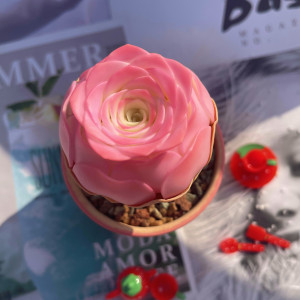 【山地玫瑰】纯手工树脂粘土水晶黏土仿真装饰品艺术多肉创意摆件