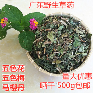 新晒干五色花中草药五色梅马缨丹乌龟皮肤洗澡红花刺臭葵500g包邮