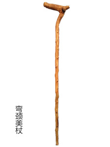 山枣木