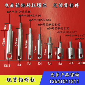 电表箱铅封柱螺丝异形M5M6圆柱体带孔眼电表箱铅封螺丝定做现货