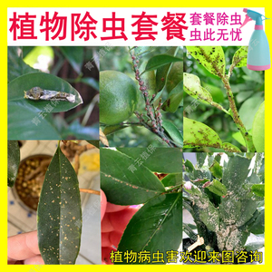 桔子|柠檬|柚子|桂花|茶花|蟹爪兰果树打虫药杀虫剂专用除去虫药