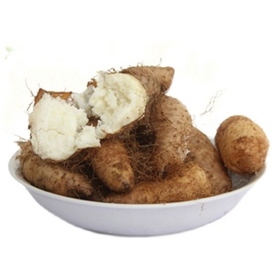 海南 白沙 新鲜现挖 毛薯 甜薯 猪仔 薯铁蛋山药 原产地直