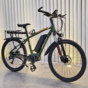 铝合金中置力矩电机山地电动助力自行车E-BIKE锂电池成人代步休闲