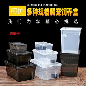 强盒子螳螂宠物蟋蟀蝎子透明壁虎蜘蛛箱子蜗牛饲养箱别墅家用蟑螂