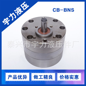 泰兴宇力CBA-B10/CB-BNS4/NS6不锈钢耐酸碱泵/饲料设备齿轮泵水泵