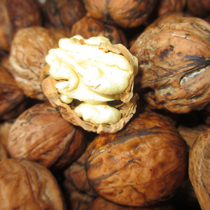 2023年新鲜活核桃云南大理漾濞特产个大饱满醇香薄皮纸皮湿生核桃